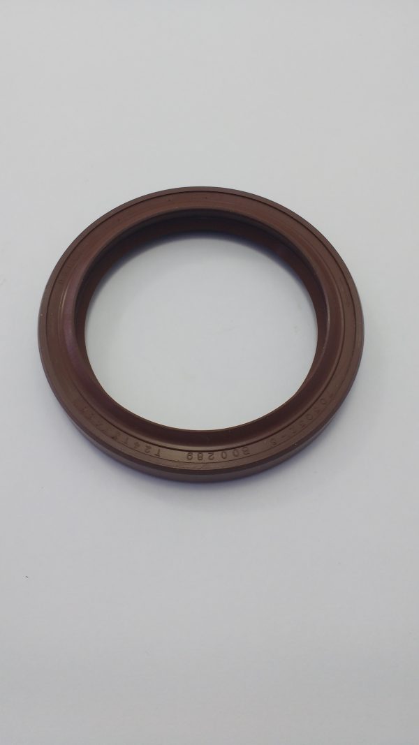 T2418F436 - RETENTOR DIANT 0.3X79.35X9.3/11.3 - 1006 - 6T LOVOL