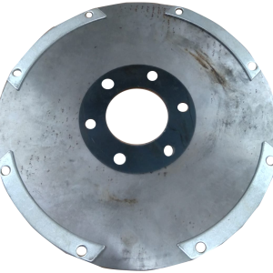 PLACA ELASTICA