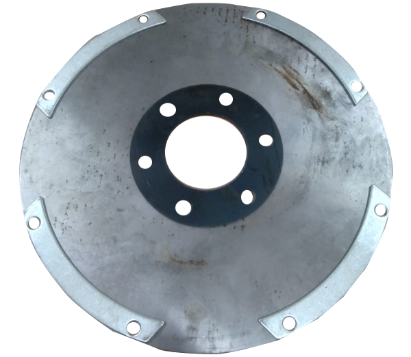 PLACA ELASTICA